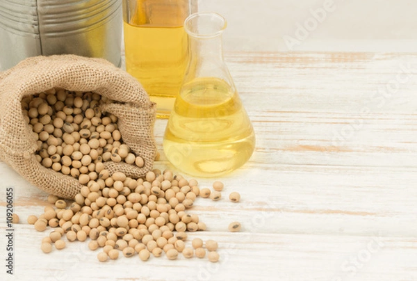 Fototapeta Choosing beans left over to care for the trial were extracted so