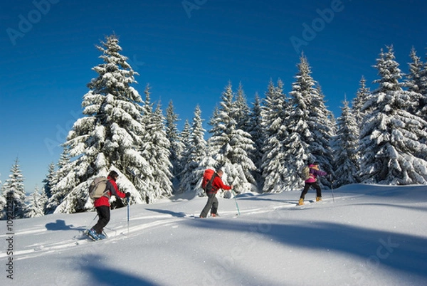 Obraz Beledonne Snow