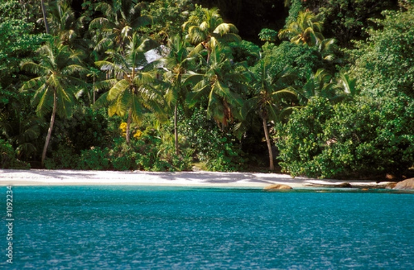 Obraz palm shaded beach