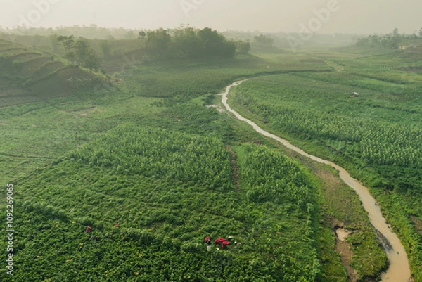 Fototapeta Aerial view of Gardener harvesting agricultural product. green field behind river