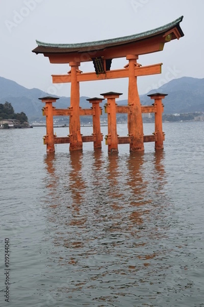 Obraz toro gallegiante