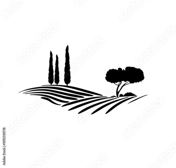 Obraz vineyard vector illustration rural landscape