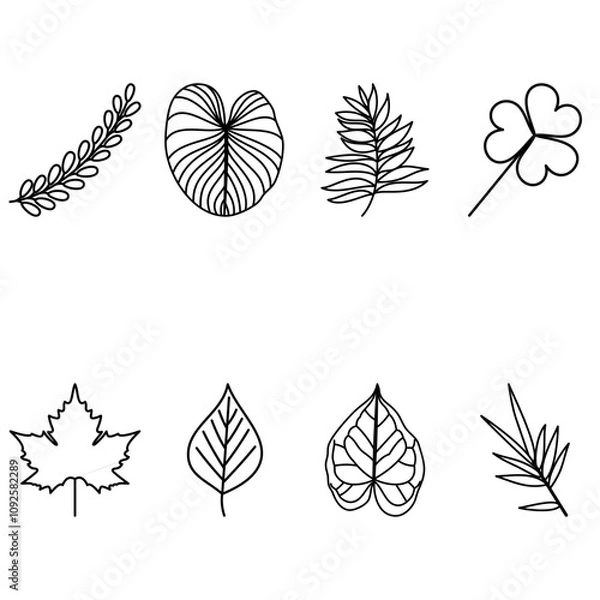 Fototapeta Minimalist Line Icon Various Leaf Shapes Set