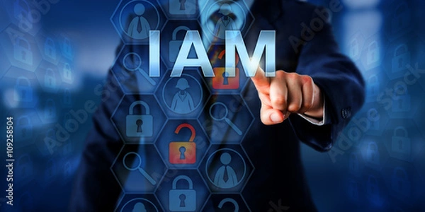 Obraz Identity And Access Manager Pushing IAM