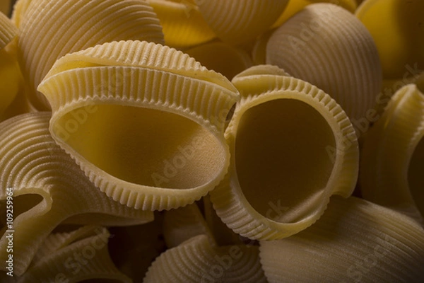 Obraz Italian pasta "Lumaconi" (big slugs) from the south