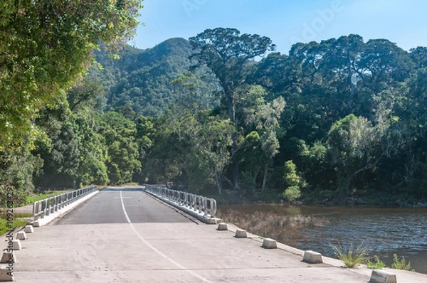 Obraz Bridge over the Groot River