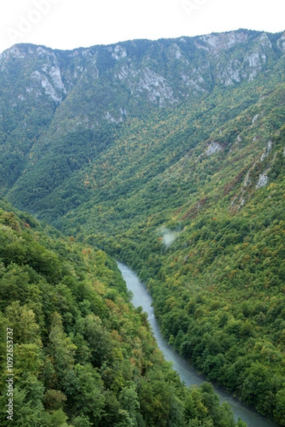 Fototapeta Tara River Canyon in Durmitor National Park, Montenegro