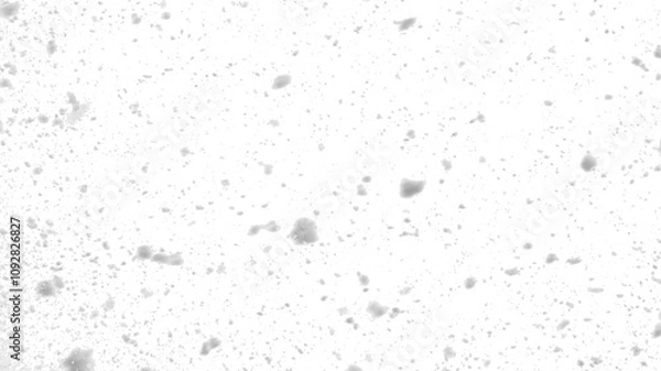 Fototapeta Heavy snowfall. On isolated transparent background.