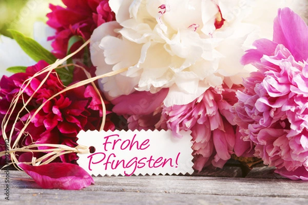 Fototapeta Frohe Pfingsten!, Pfingstrosen mit Schild, Pfingsten, Copyspace