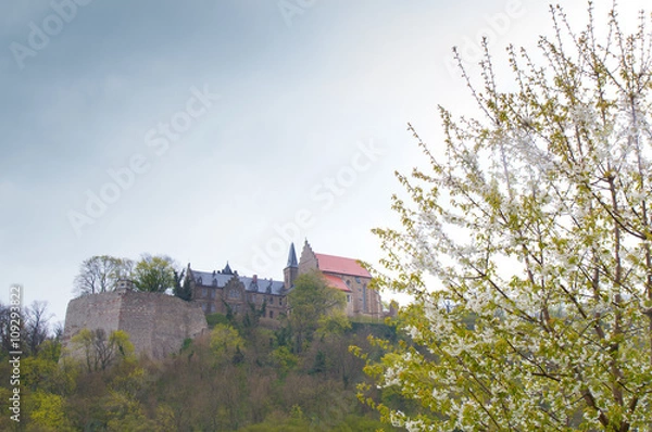 Obraz castle mansfeld in worms eye