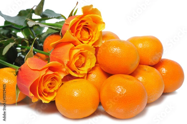 Obraz mandarins with rose