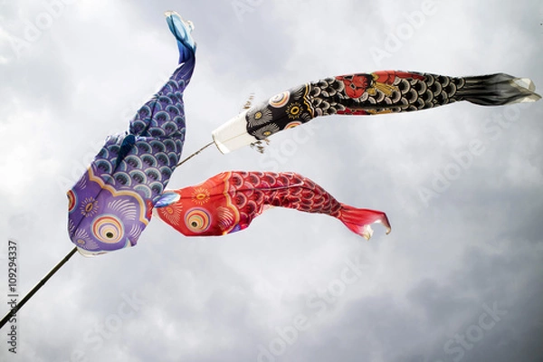 Obraz こいのぼり（鯉幟）