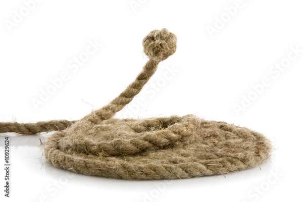 Obraz snake from rope on white