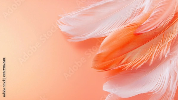 Fototapeta Soft pastel feathers in shades of peach and white create delicate and serene atmosphere against blurred background. gentle colors evoke sense of calm and tranquility