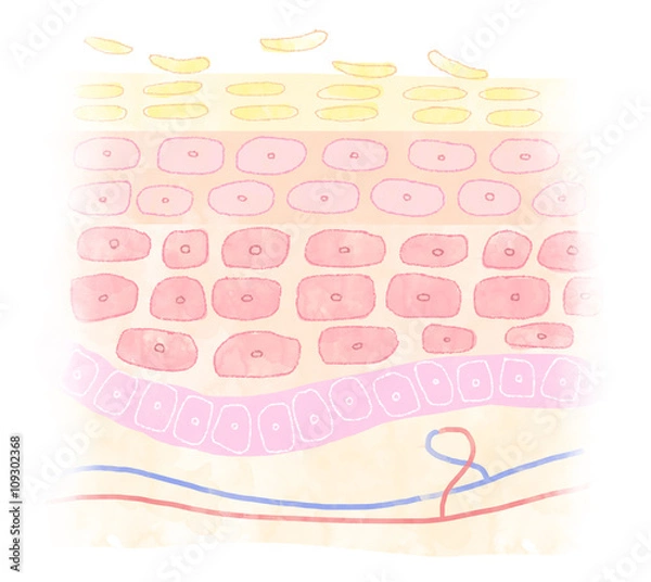 Fototapeta ターンオーバーのイメージ