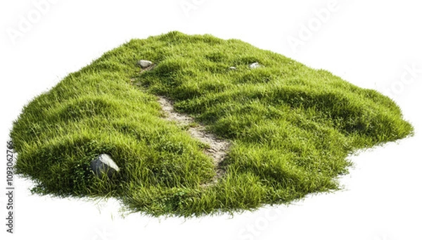 Fototapeta green, grassy hill with a dirt path, isolated on a white background.