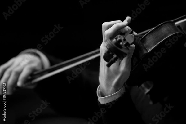 Fototapeta Hands musician playing the violin closeup in black and white