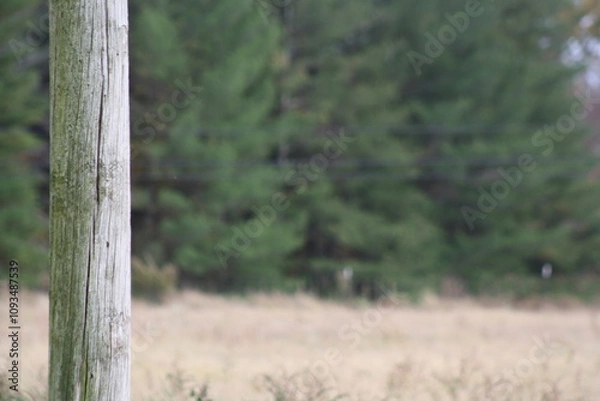 Obraz change in focus