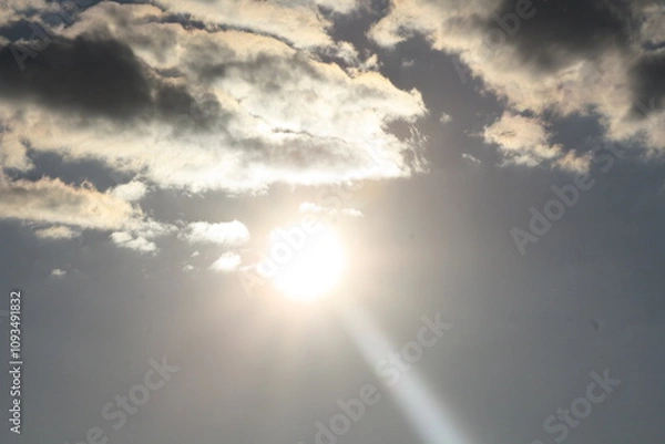 Obraz sunny day