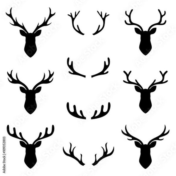 Obraz collection set deer head