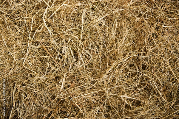 Fototapeta Heuhaufen