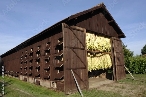 Fototapeta Séchoir a tabacc