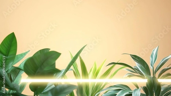 Fototapeta Soft up-lighting behind indoor plants, warm and natural ambiance