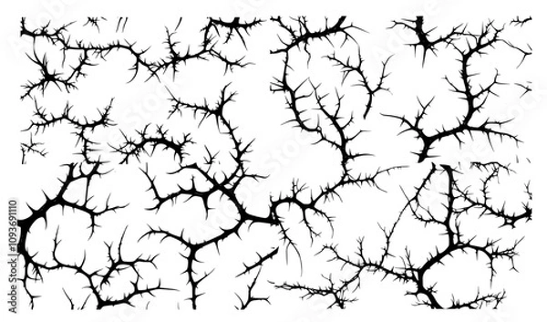 Fototapeta collection of organic black branches in various forms