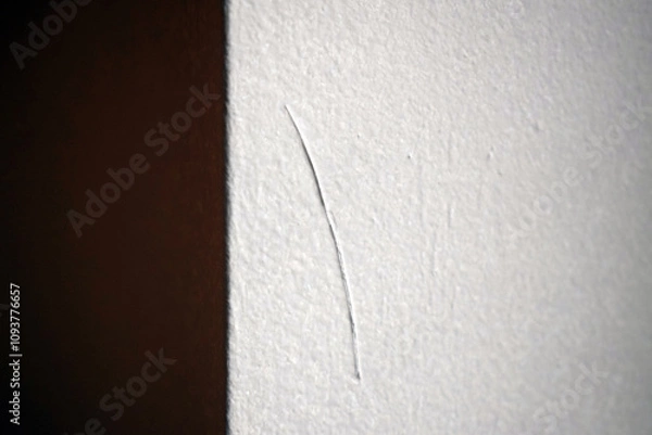 Obraz A hair from the paint brush came loose and is stuck in the paint on the wall