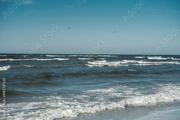 Fototapeta Birds are soaring majestically over the vast ocean on a sunny day