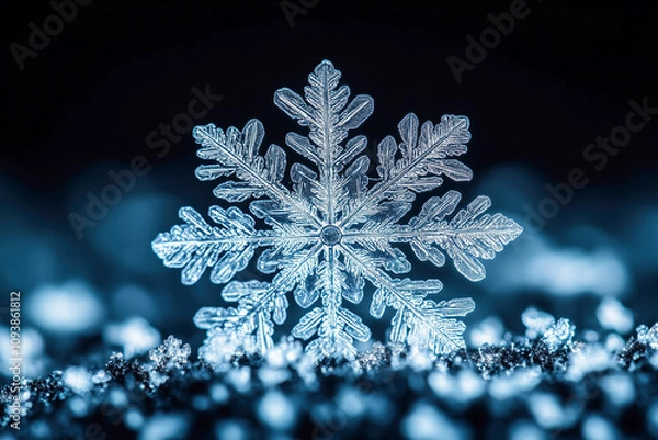 Fototapeta Close-up of an intricate snowflake on a dark backgrounds