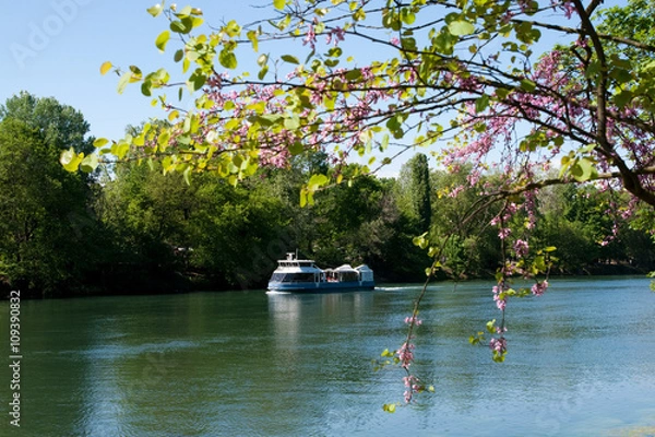 Obraz Fiume Po - Torino