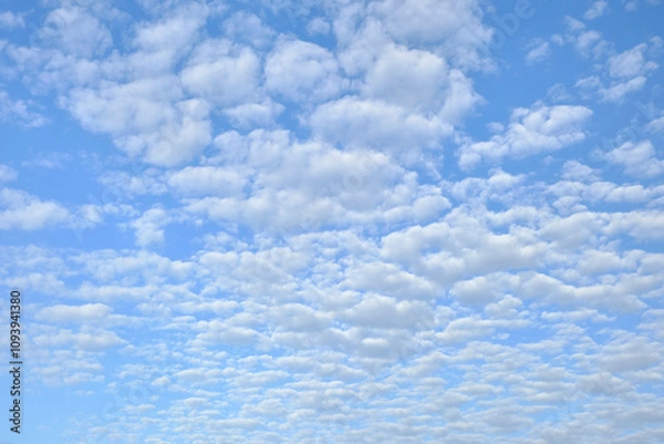 Obraz 綺麗なうろこ雲の空