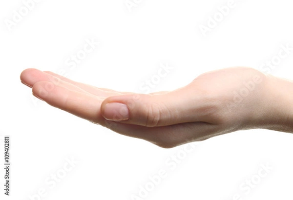Obraz Open palm hand gesture on white background