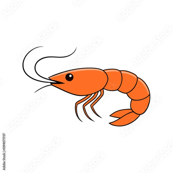 Obraz Domestic shrimp vector illustration
