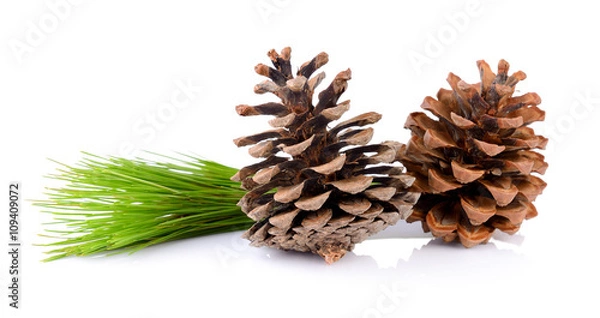 Fototapeta Pine cones isolated on white background