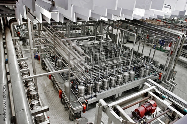 Fototapeta roślina01