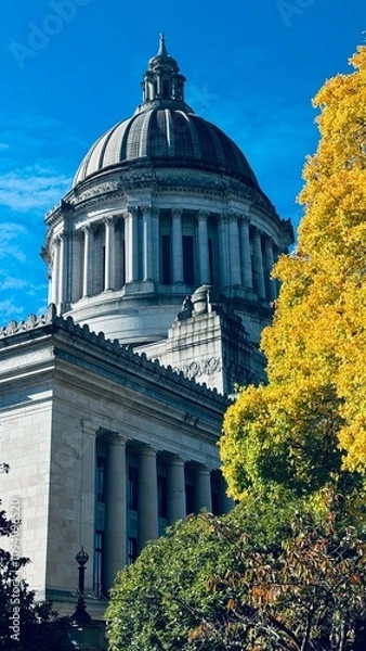 Obraz State Capitol, Washington