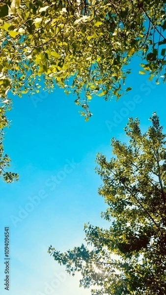 Obraz Summer Sky