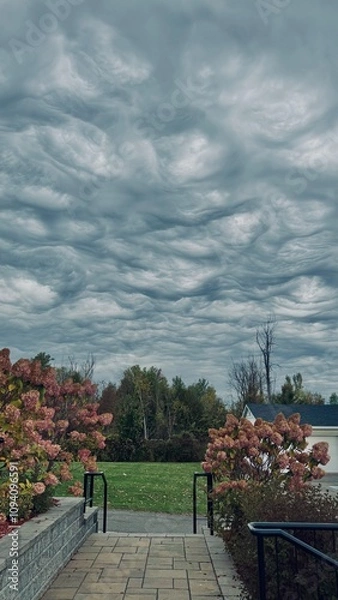 Obraz Undulatus Asperatus