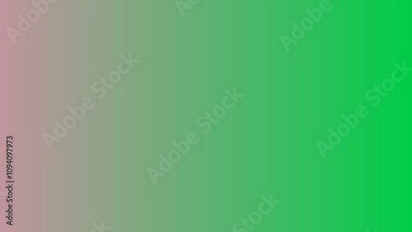 Fototapeta Monochrome Gradient Background for Professional Use