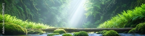 Fototapeta 2409_037 A tranquil natural scene with clean space above, overlooking a serene setting featuring fern canyon, with an open space nestled amidst moss-covered logs, set against a dappled sunlight