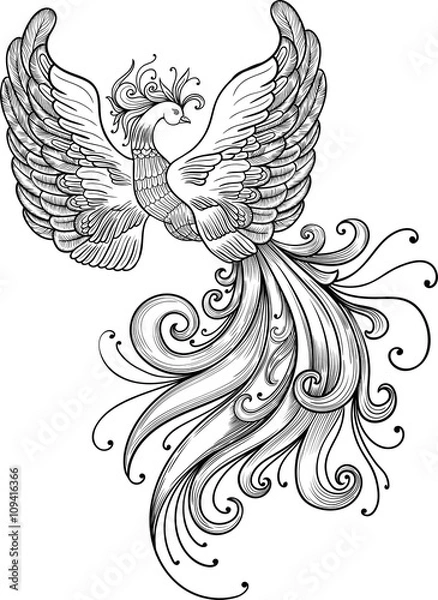 Fototapeta Firebird vector clipart