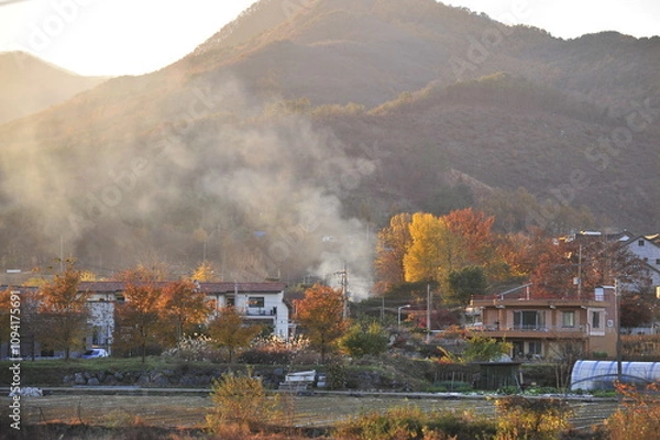 Obraz fire in the forest