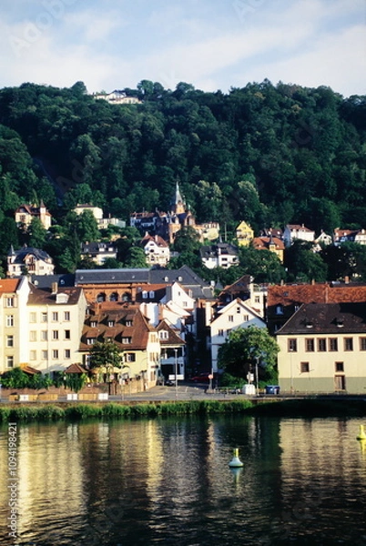 Obraz View of houses with forest on the hill at old town in Heidelberg Germany during 2000s