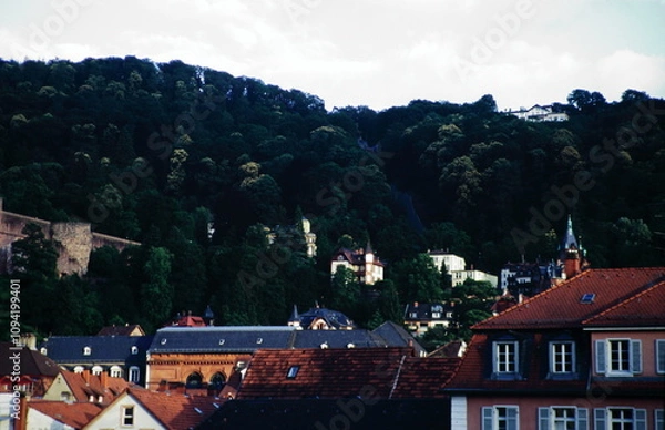 Obraz View of houses with forest on the hill at old town in Heidelberg Germany during 2000s