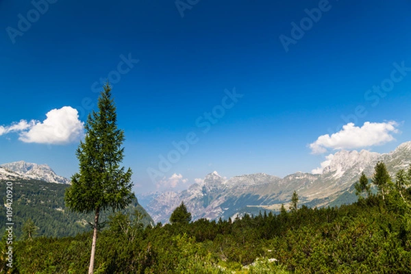 Fototapeta mountain peak in a summer day