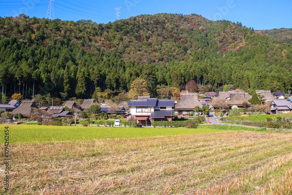 Fototapeta 美山かやぶきの里