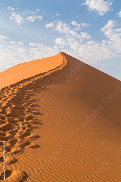 Obraz Sand Dune 45 in Sossusvlei, Namibia