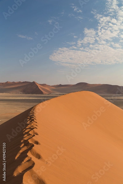 Obraz Sand Dune 45 in Sossusvlei, Namibia